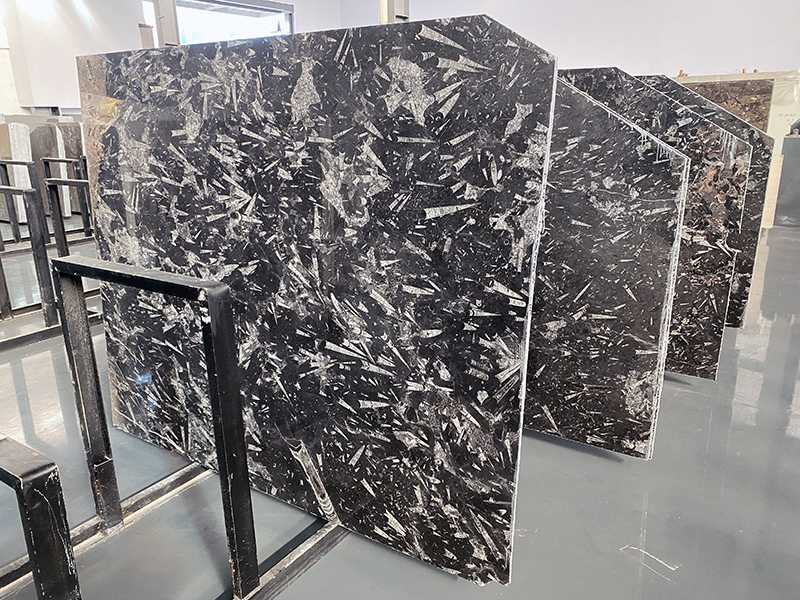 black fossil marble slab (1)
