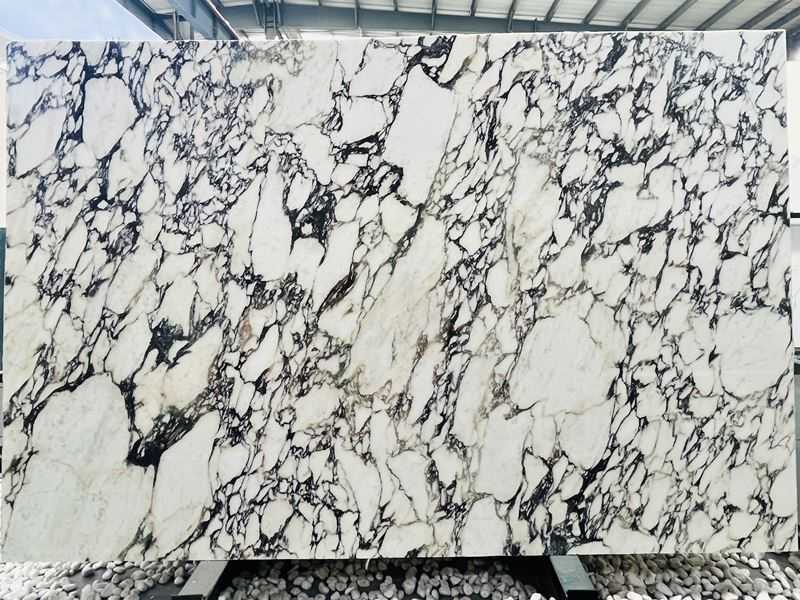 calacatta viola marble slab (3)