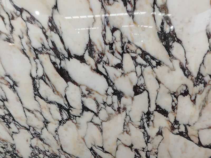texture of calacatta viola marble (1)