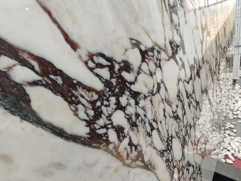 texture of calacatta viola marble (2) texture of calacatta viola marble (2)