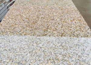 polished sunset gold granite slab (2)